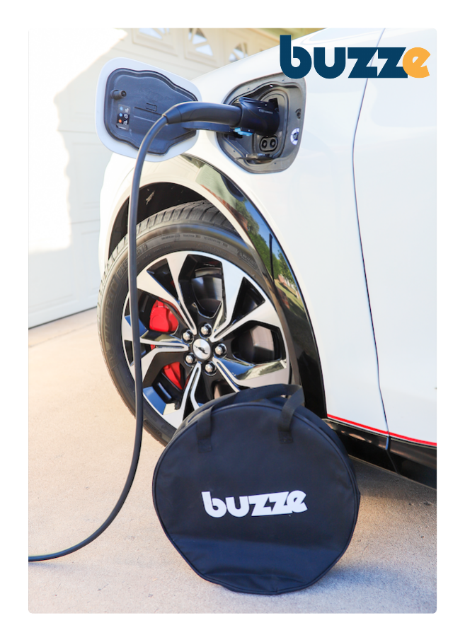 Buzze Charging Cable/Adapter Bag